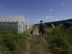 小ネギ農家さんと愛犬