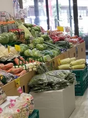 鮮度の良い野菜