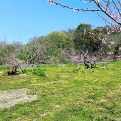 「農福連携」の様子