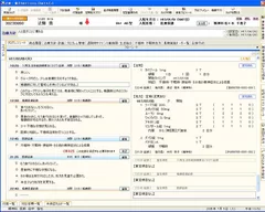カルテ画面
