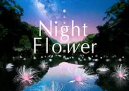 Night Flower作品