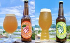 伊豆バナナワニIPA＆伊豆パパイヤHAZY