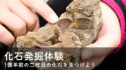 【リターン】化石発掘体験(ガイド付)