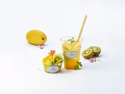MINTY & TROPICAL ICE CREAM & DRINK＿Mango Kiwi_FLOWERS_日比谷花壇