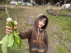 野菜の収穫