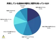 所有している山林の境界