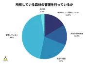 所有している山林の管理