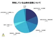 所有している山林の活用