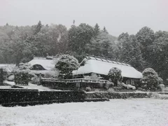 雪景色