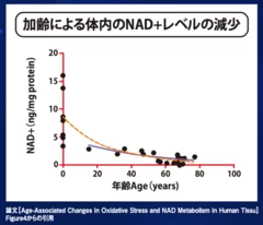 加齢による体内のNAD+レベルの減少