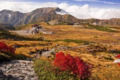 室堂平の紅葉(9月中旬～9月下旬)