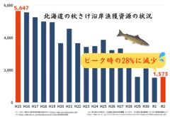 鮭の減少グラフ