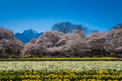 北杜市の写真