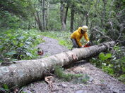 山小屋の公益的な活動～登山道を塞ぐ倒木の撤去