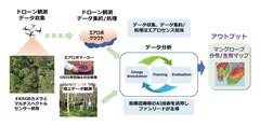 実証実験の取り組み概要