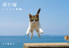 猫写真1　飛び猫