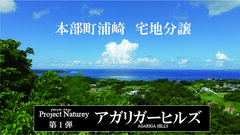 本部町浦崎地内(近傍地より2020年撮影)