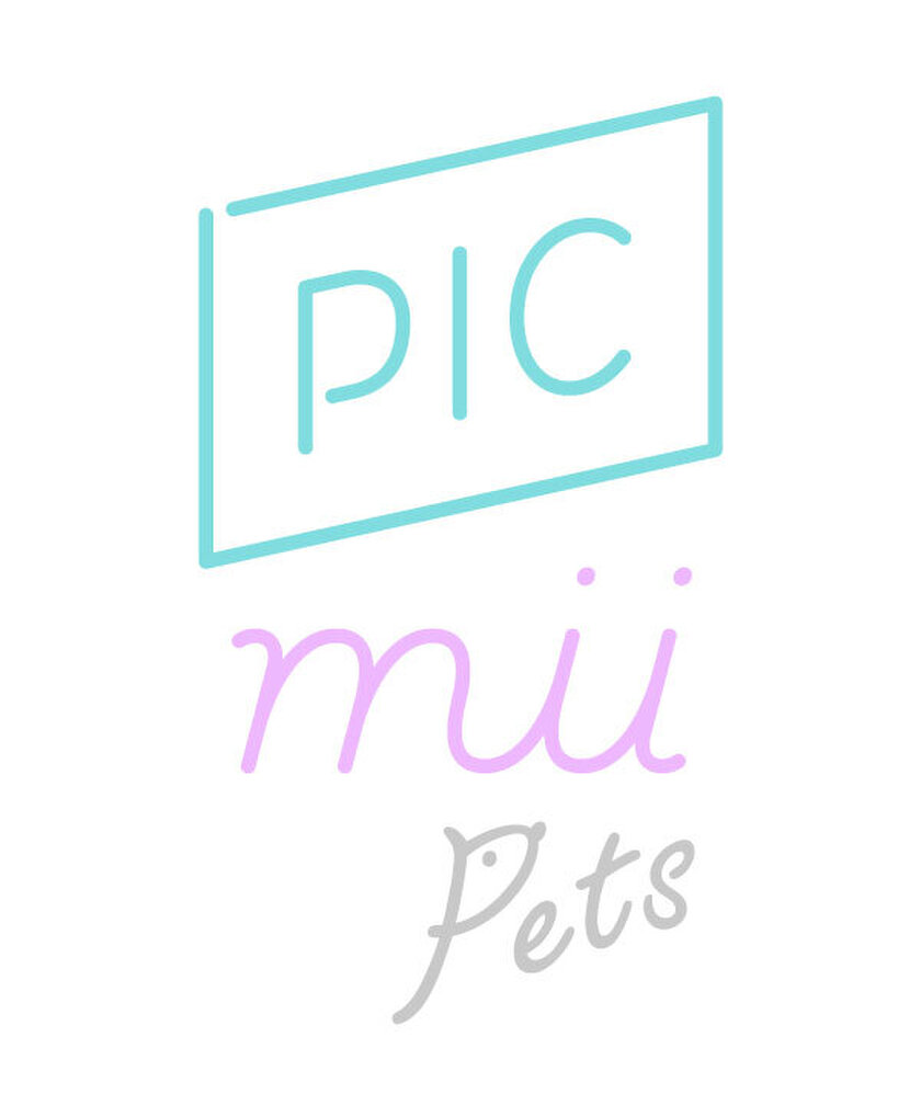 セルフ写真館PICmii出張ブース「PICmii Pets」 ペットとの家族写真も