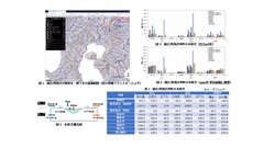 図2　水収支の表示例