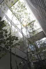 壁の内側に植栽することで緑を感じる生活を