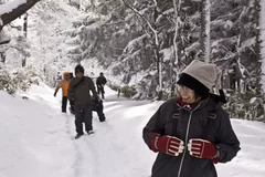 雪を楽しむツアー参加者