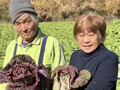 井出操さん・みつ江さんご夫婦