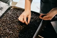 コーヒー豆のカッピング