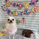 保護犬誕生日(1)