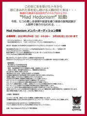 Mad Hedonism　募集要項