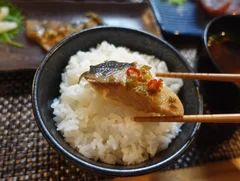 銀だら唐辛子漬けとご飯