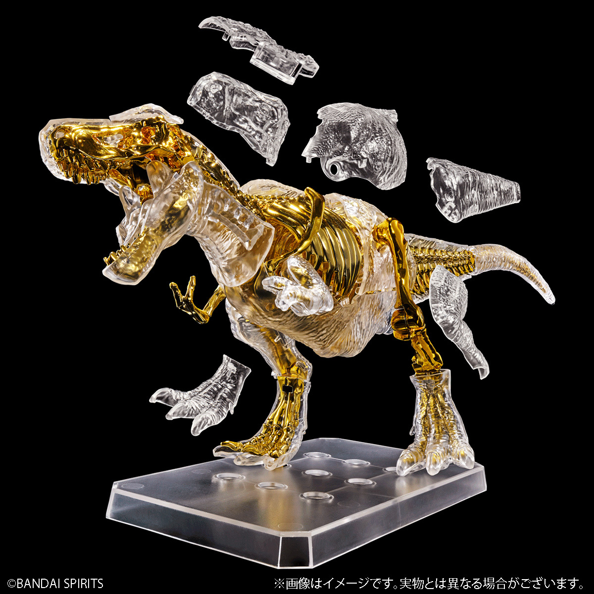 キャラパキ ゴールドメッキ ティラノサウルス プラノサウルス 大人気の 