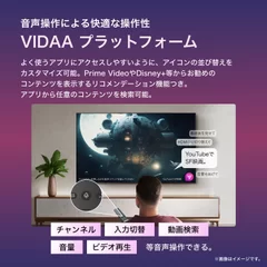 VIDAAプラットフォーム