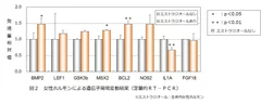 図2　女性ホルモンによる遺伝子発現変動結果(定量的RT-PCR)