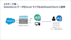 CData 導入事例_画像2