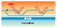 太陽光を遮り気化熱を奪う