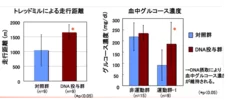 耐久性向上実験