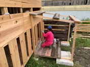ヤギ小屋の増築