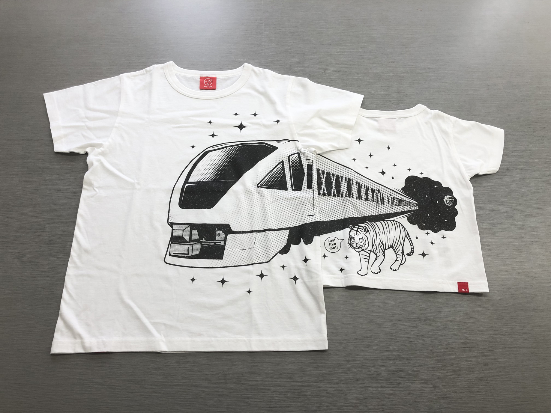 東武鉄道の新型特急「スペーシア X」が運行する人気観光地を旅気分！7