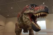 「オダイバ恐竜博覧会2024」ティラノサウルスのロボット