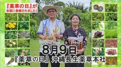 薬草の日　テレビCM画像