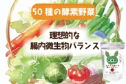 50種類の発酵野菜