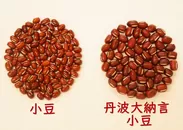 小豆と丹波大納言小豆の比較