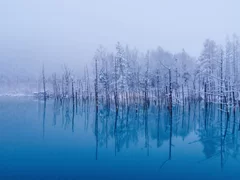 青い池(冬)