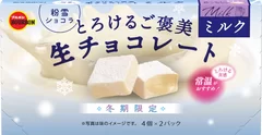 とろけるご褒美生チョコレートミルク