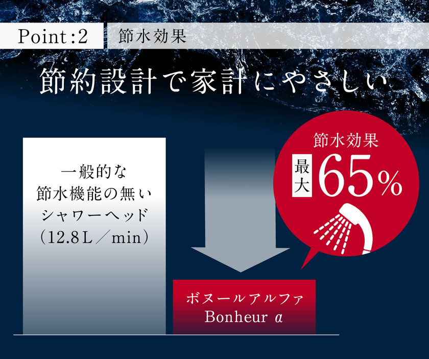 送料無料価格 アクアビュル ボヌールアルファ シャワーヘッド - その他