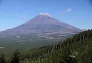 富士ヒノキが生息する富士山麓の風景