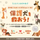 【ドギーマンハヤシ】2023年保護犬を救おうキャンペーン