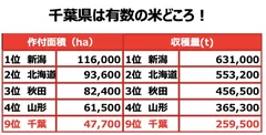 全国の作付面積と収穫量