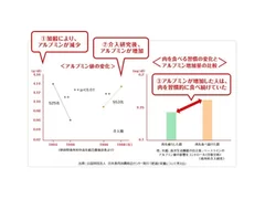 アルブミン値の変化