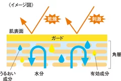 商品特長＜イメージ図＞